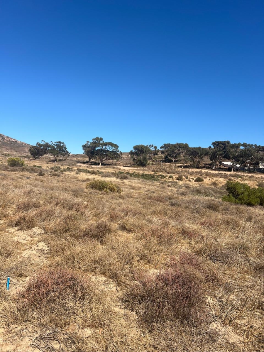 Commercial Property for Sale in St Helena Views Western Cape